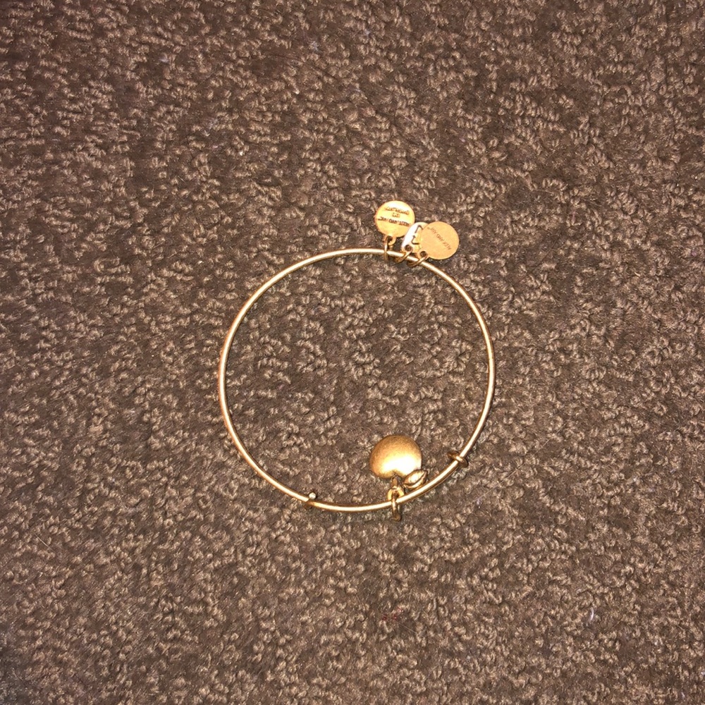 Alex and Ani bracelet